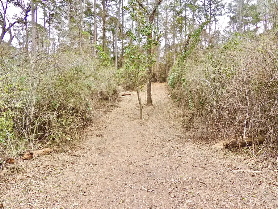 000 Rocky Branch Rd., Sumrall, MS 39482 - Image #3