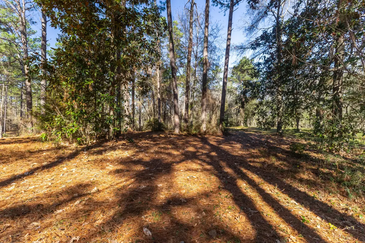 1906 S 28th Ave, Hattiesburg, MS 39402 - #1