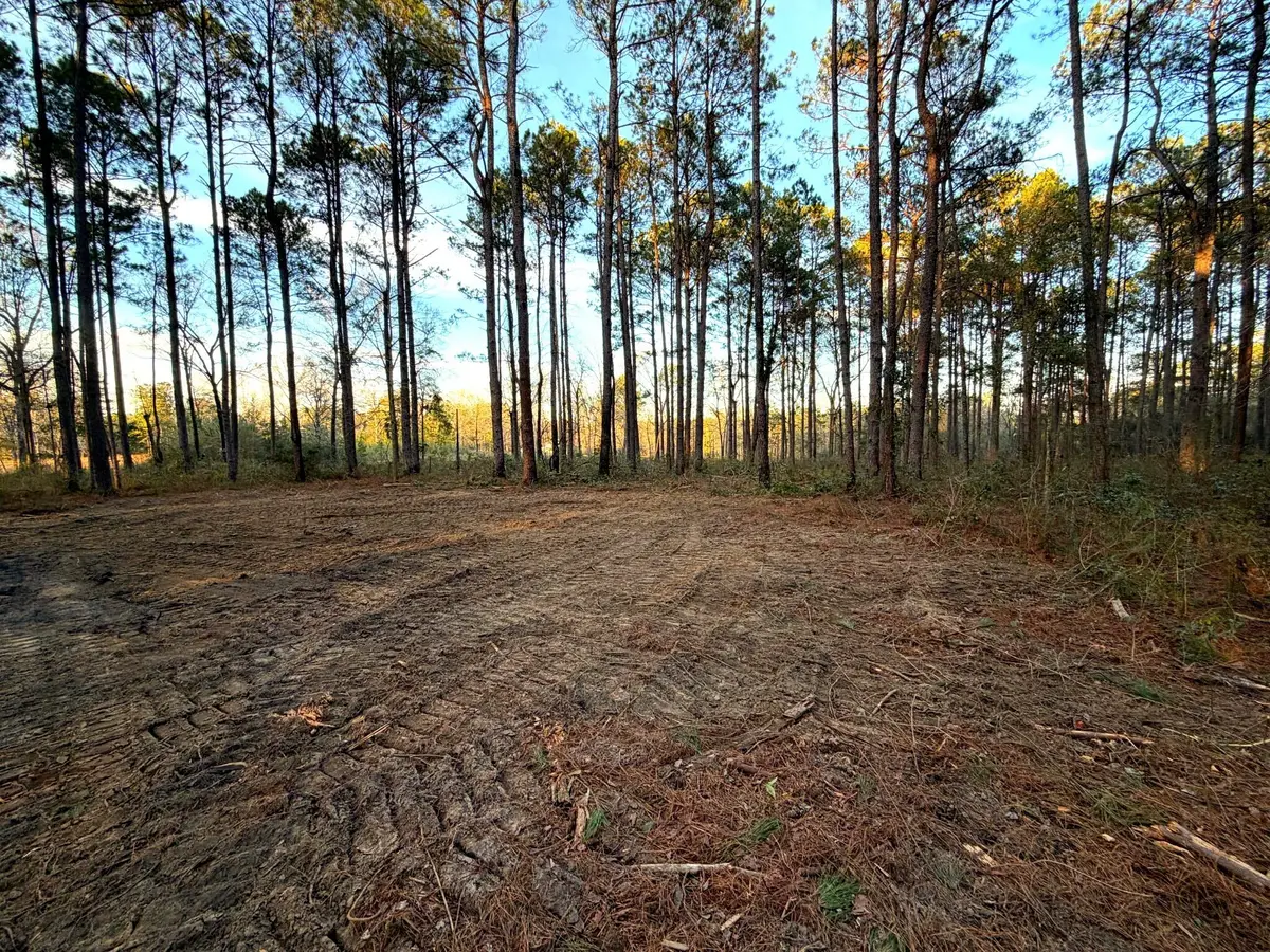 12.1 Acres Evans Rd., Poplarville, MS 39470 - Image #1