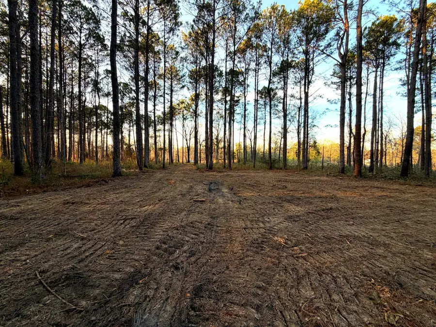 12.1 Acres Evans Rd., Poplarville, MS 39470 - Image #2