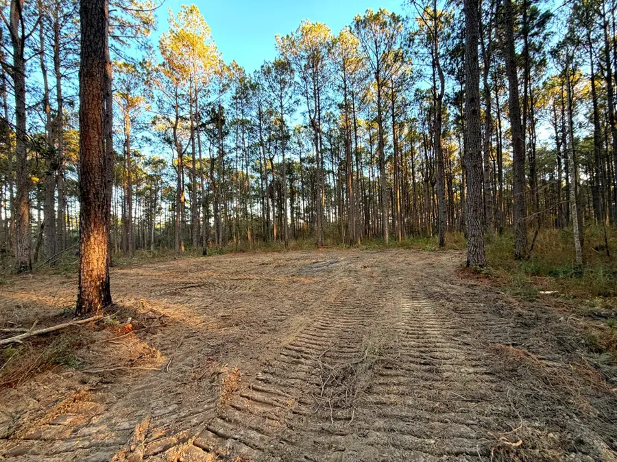 12.1 Acres Evans Rd., Poplarville, MS 39470 - Image #3