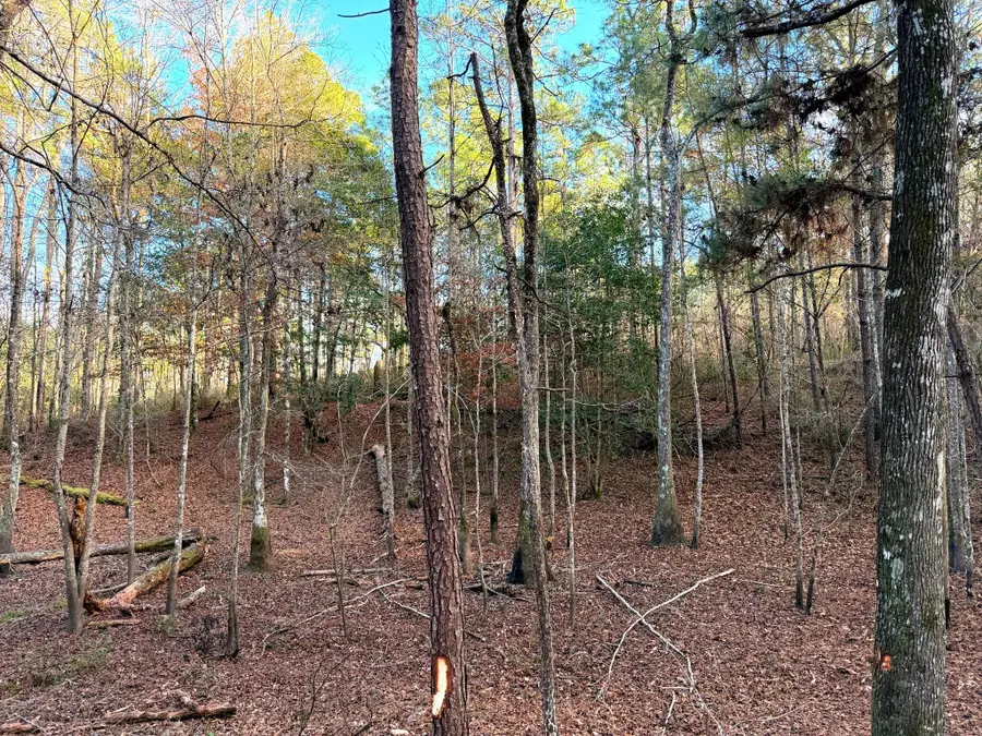 13.6 Acres Springhill Rd., Poplarville, MS 39470 - Image #2