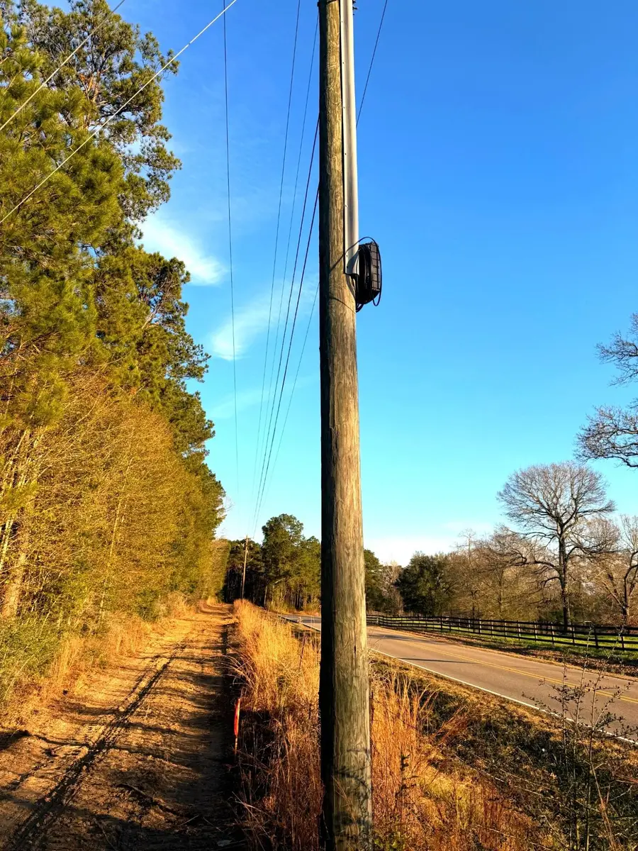 13.6 Acres Springhill Rd., Poplarville, MS 39470 - Image #3