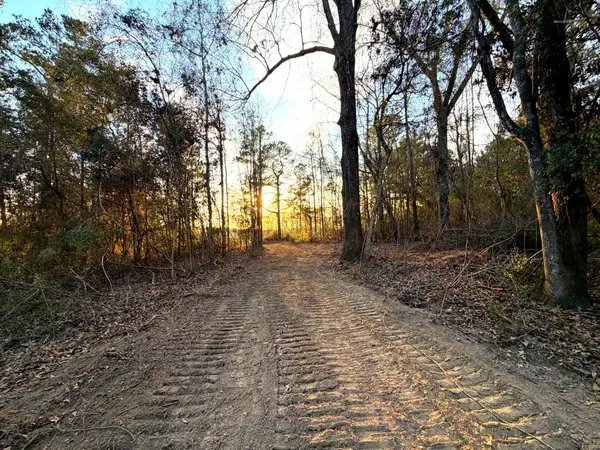 18 Acres Springhill Rd., Poplarville, MS 39470