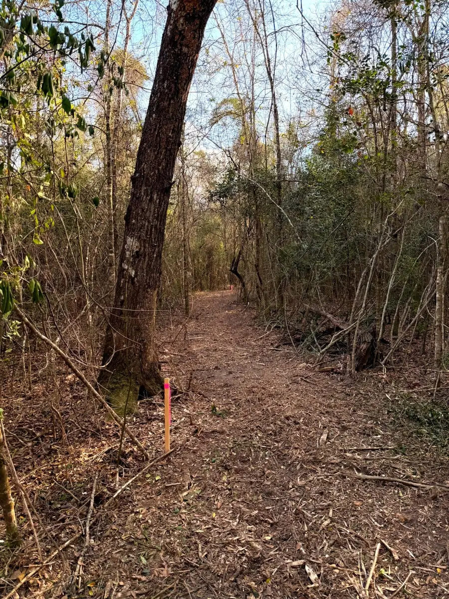 18 Acres Springhill Rd., Poplarville, MS 39470 - Image #2