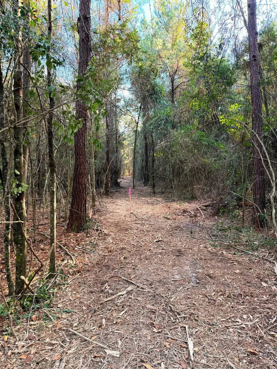 18 Acres Springhill Rd., Poplarville, MS 39470 - Image #3