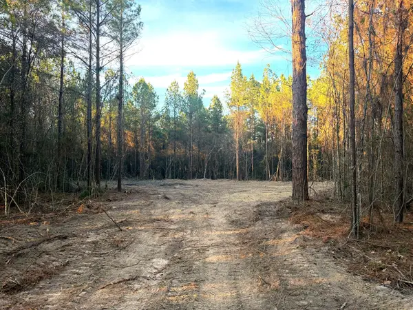 20 Acres Springhill Rd., Poplarville, MS 39470