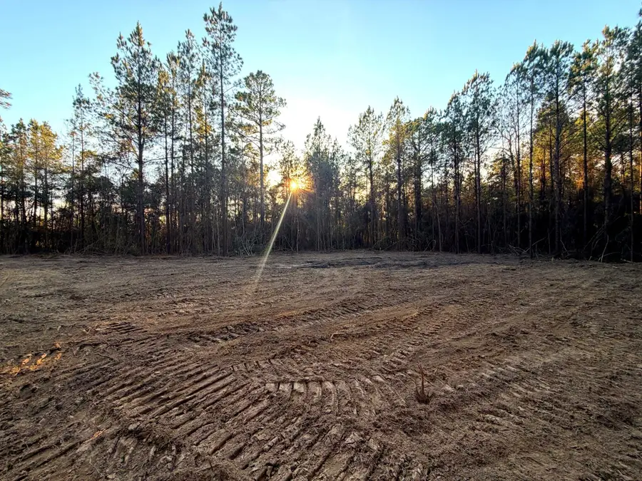 20 Acres Springhill Rd., Poplarville, MS 39470 - Image #2