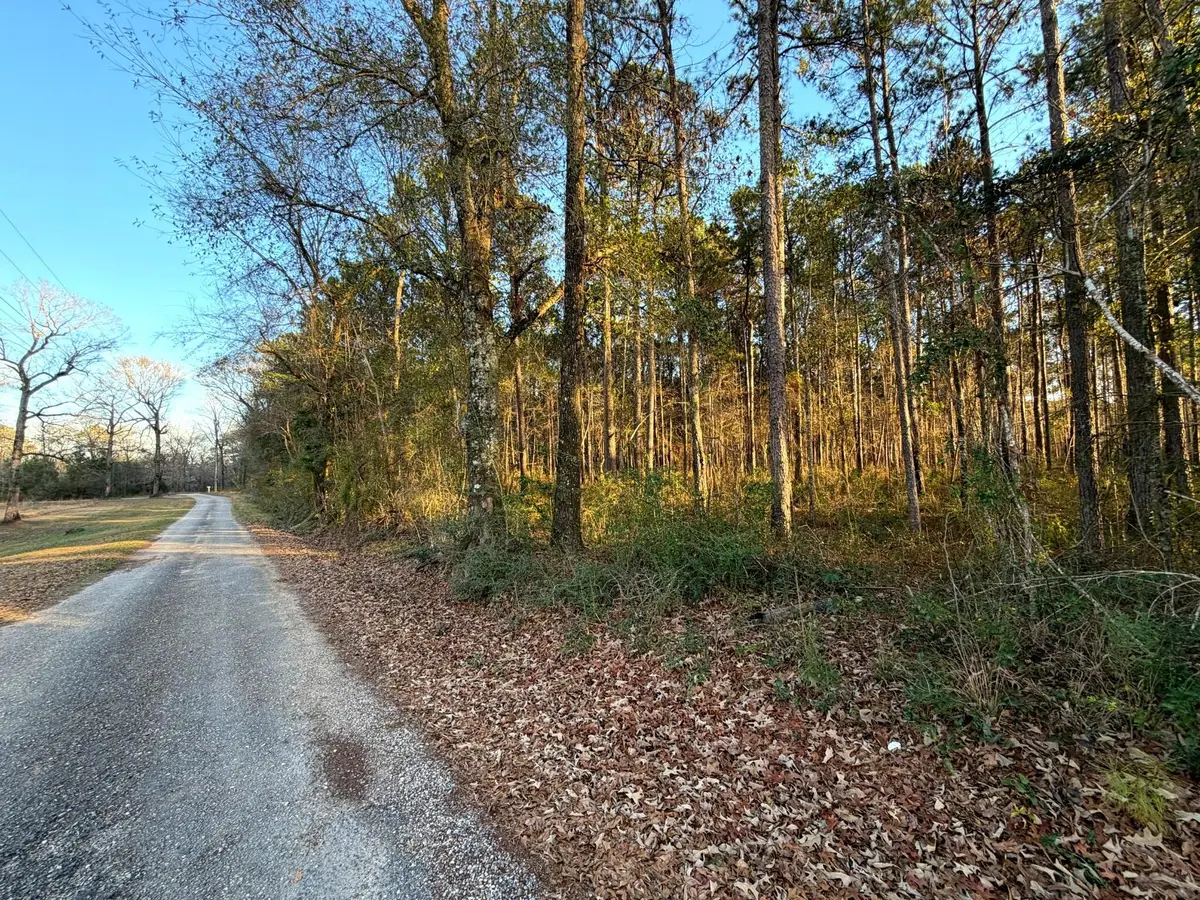 23 Acres Evans Rd., Poplarville, MS 39470 - Image #1
