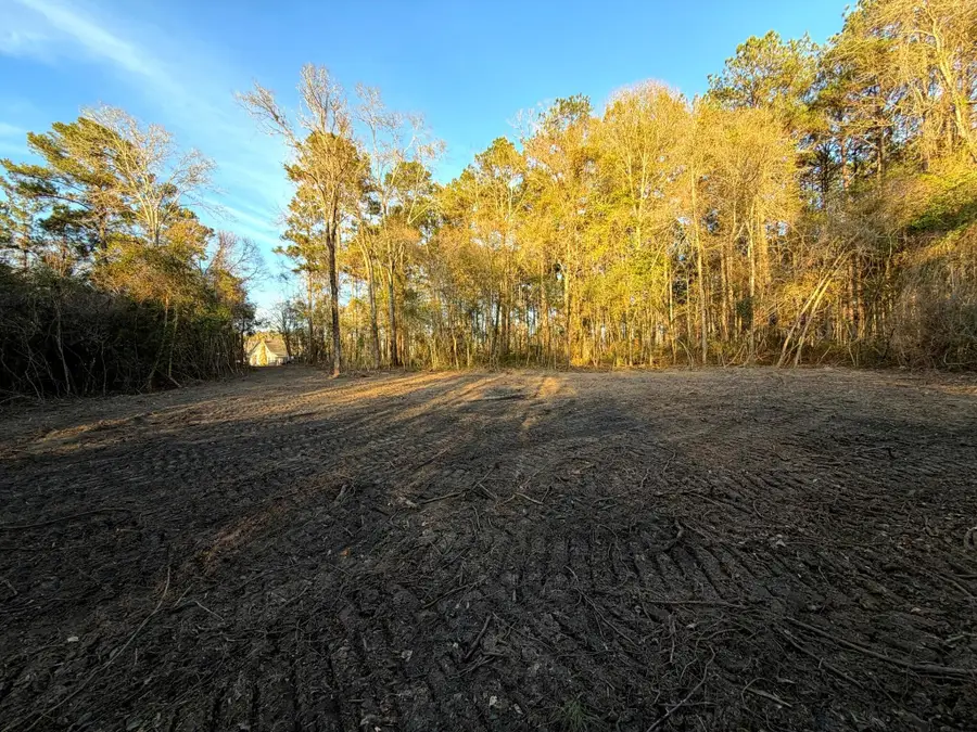 23 Acres Evans Rd., Poplarville, MS 39470 - Image #3