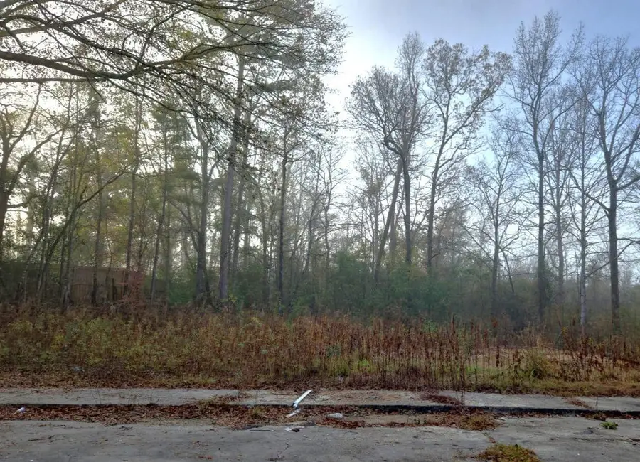 124 B Plantation Pl Dr., Hattiesburg, MS 39401 - Image #2