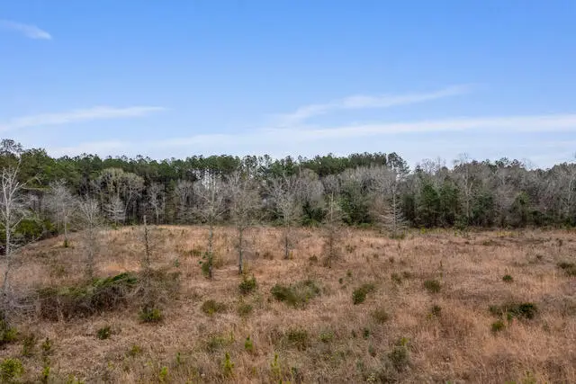 0 Highway 589, Hattiesburg, MS 39402 - Image #3