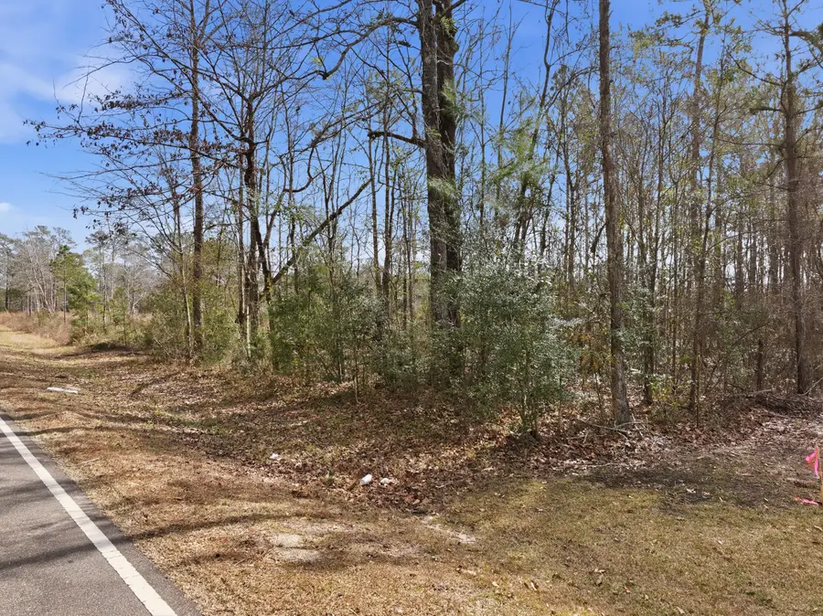 000 Morriston Rd., Petal, MS 39465 - #2