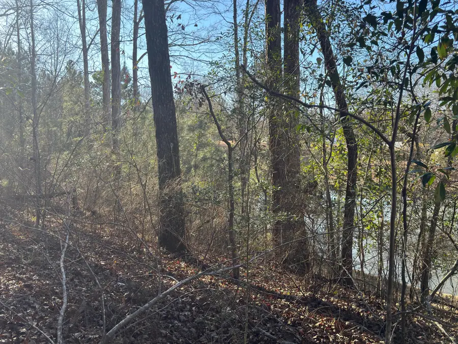 Lot 6 Gum Reed Cove, Lumberton, MS 39455 - #3