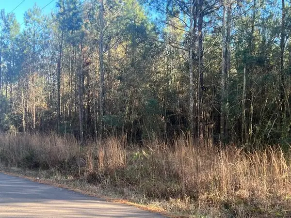 0 Duncan, Kokomo, MS 39643