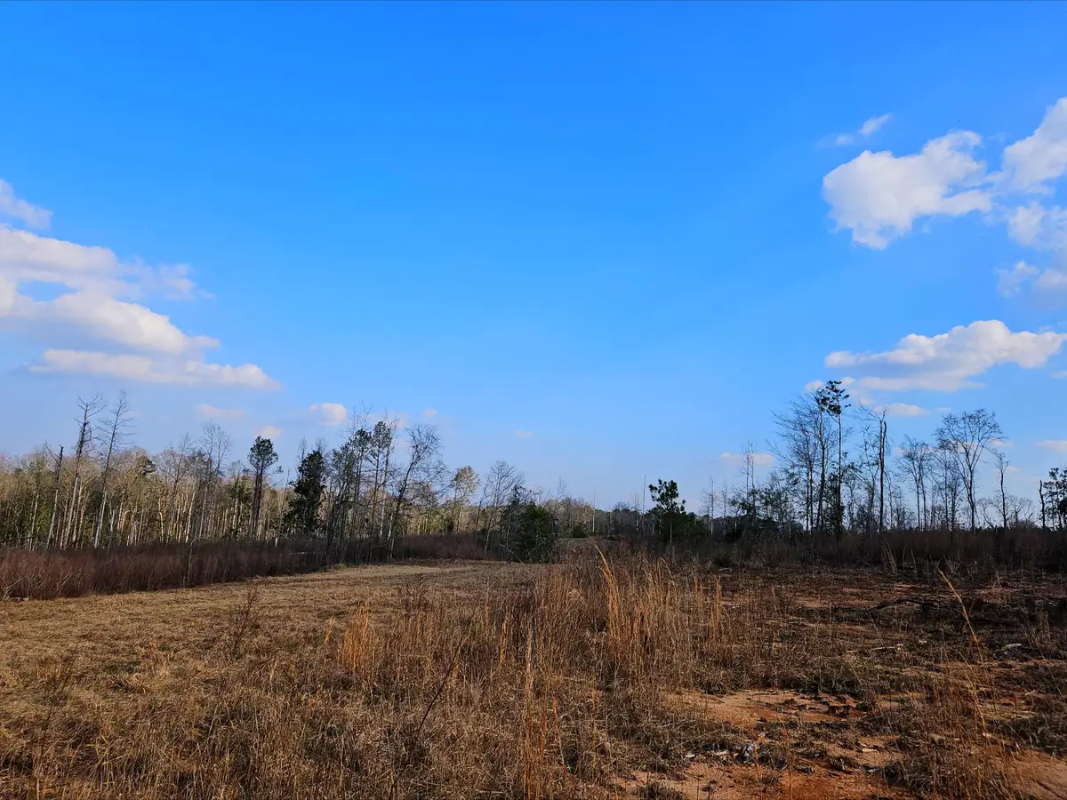 00 Hwy 35, Collins, MS 39428 - #1