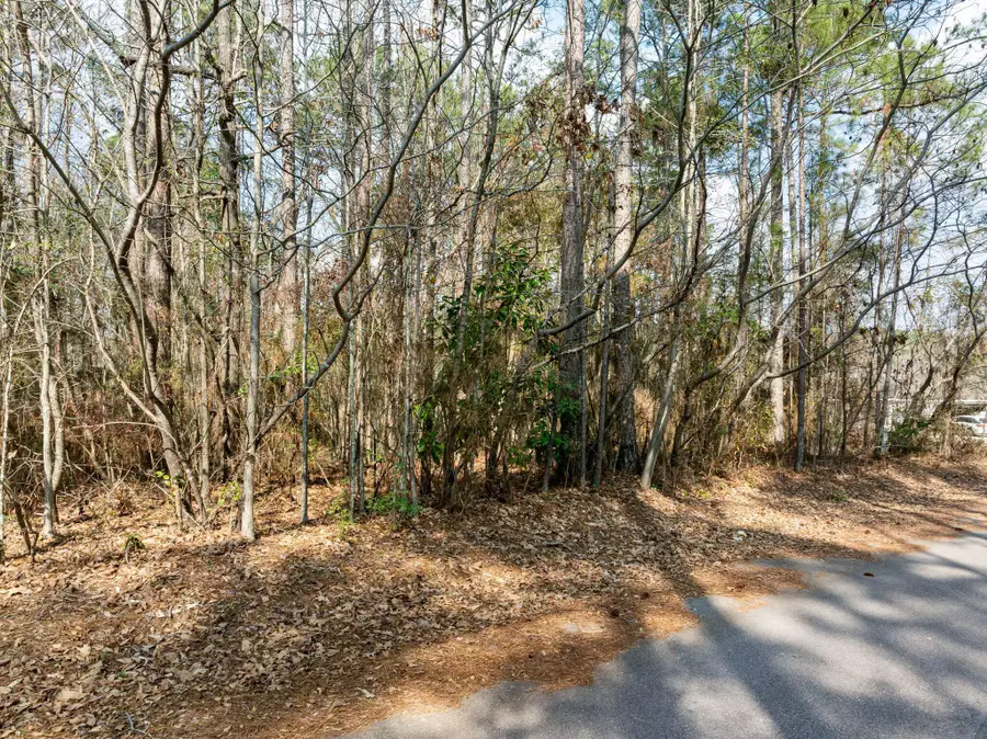 00 Lynell Loop, Hattiesburg, MS 39402 - #2