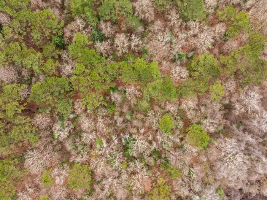 40 Mol Ac Old Hwy 24, Mc Lain, MS 39456 - #2