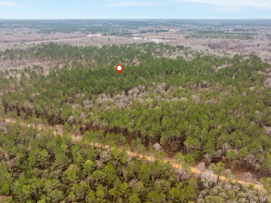 53 Mol Ac Old Hwy 24, Mc Lain, MS 39456 - #3