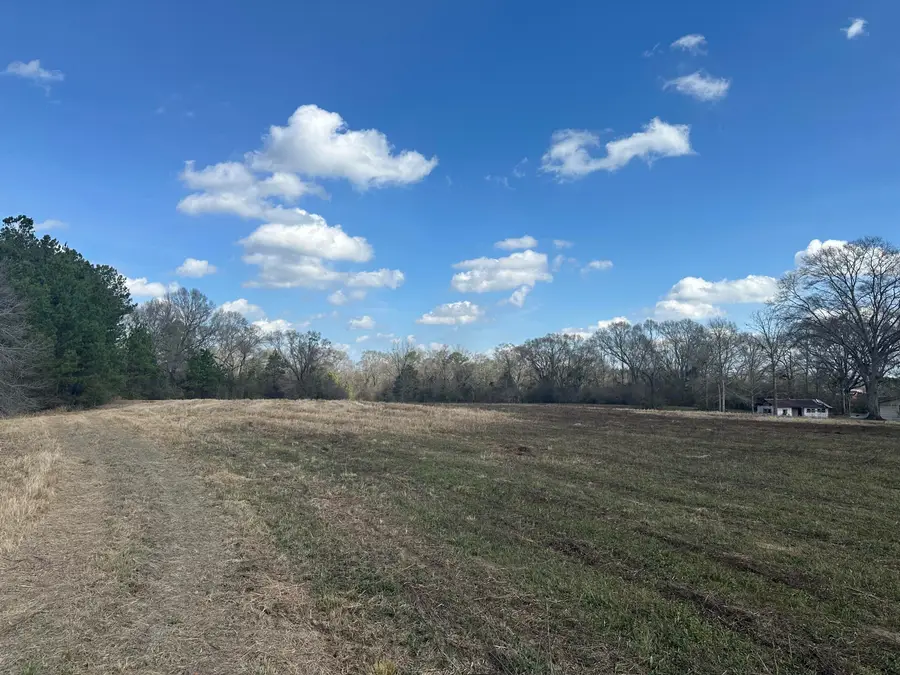 00 Hurricane Creek Rd., Lumberton, MS 39455 - #2