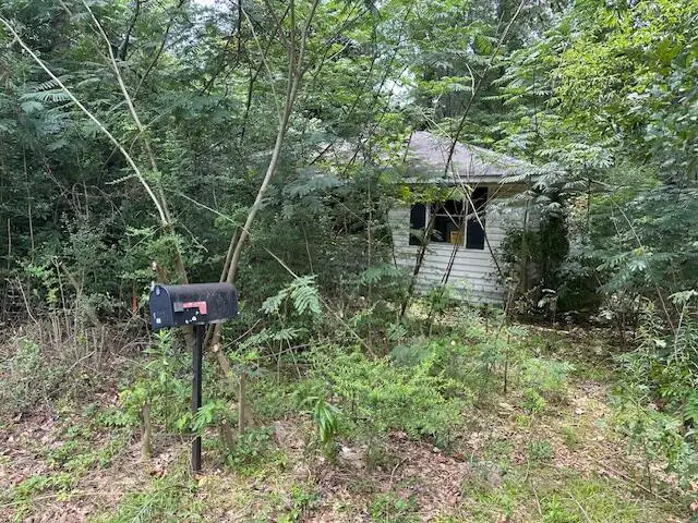 15 B&o Thompson Rd., Lumberton, MS 39455 - #1