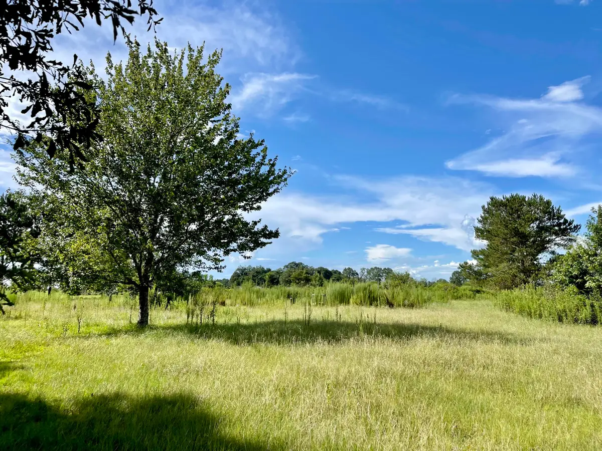 125 Old Progress Rd., Hattiesburg, MS 39401 - #1