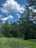 915 S 14th Ave., Laurel, MS 39440 - #1