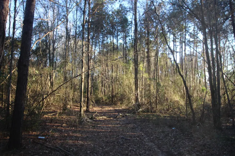 1524 Parker Dr., Laurel, MS 39440 - #2