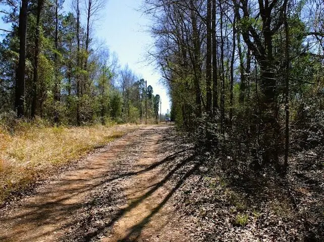 Lot 2 Benjamin Ln., Poplarville, MS 39470 - #2