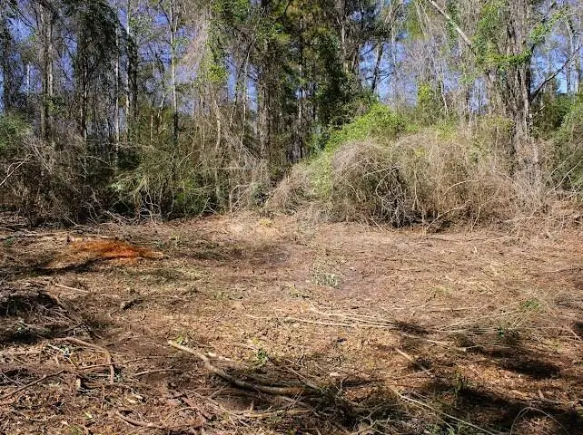 Lot 2 Benjamin Ln., Poplarville, MS 39470 - #3