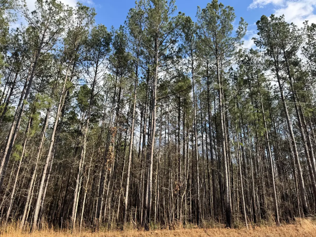24.88AC Epley, Sumrall, MS 39482 - #1