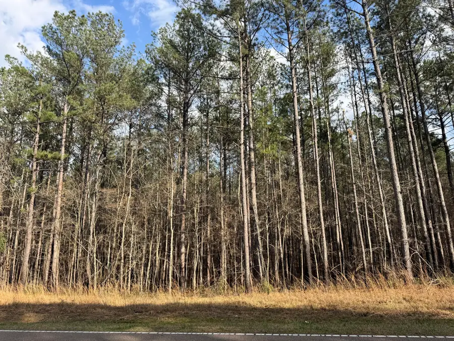 24.88AC Epley, Sumrall, MS 39482 - #2