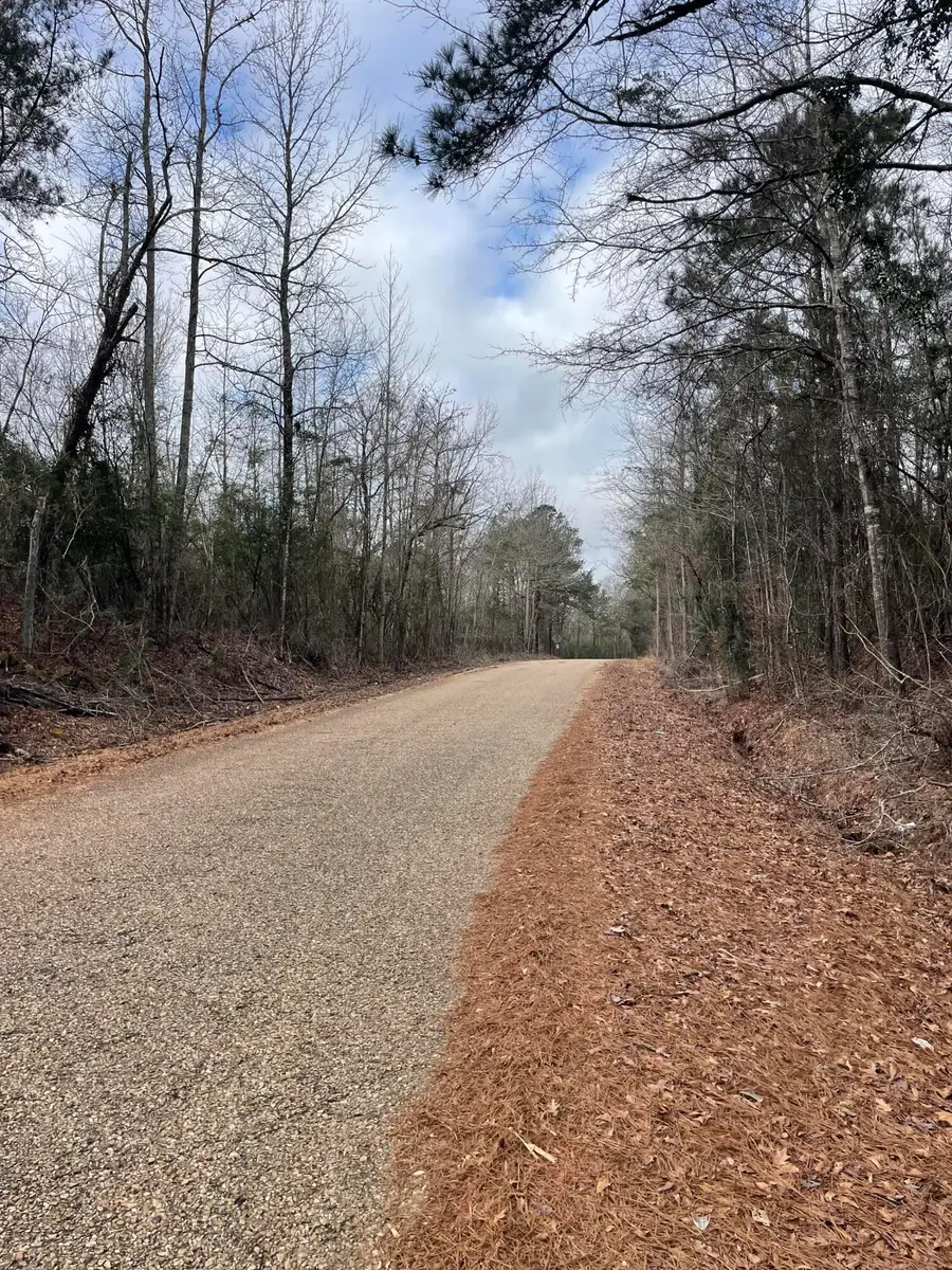 TBD Craft Rd/ Us 49, Magee, MS 39111 - #2
