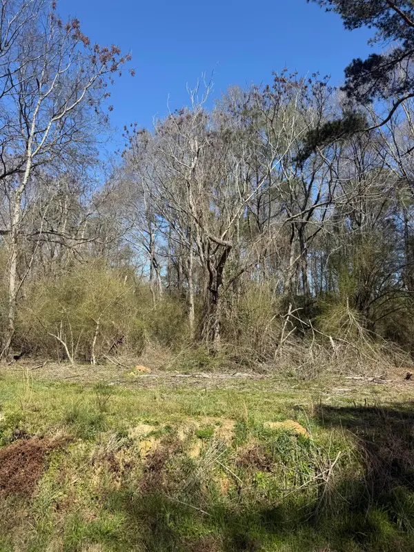 4.9 AC Morgantown Rd., Foxworth, MS 39483