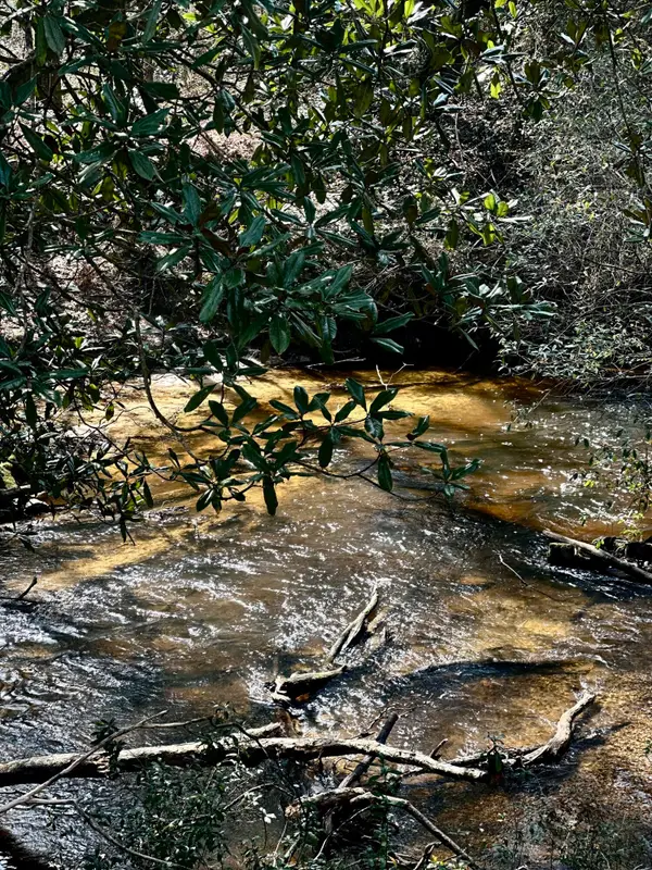 31 Howard Smith, Lumberton, MS 39455