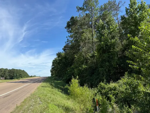 2 +/- Acres Hwy 49, Collins, MS 39428