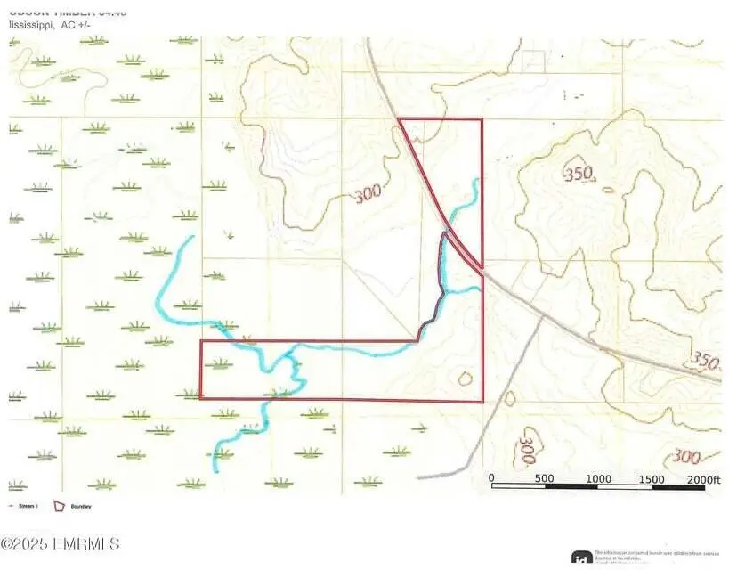 00 County Road 31, Heidelberg, MS 39439 - #3
