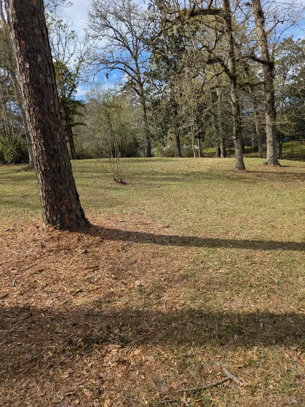 none Corner Broad And Briarwood, Columbia, MS 39429