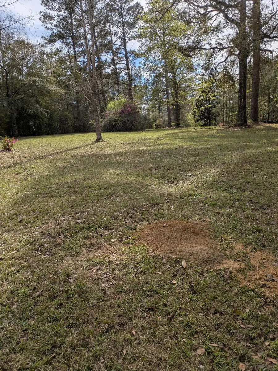 none Corner Broad And Briarwood, Columbia, MS 39429 - #2