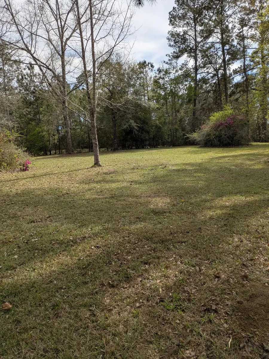 none Corner Broad And Briarwood, Columbia, MS 39429 - #3