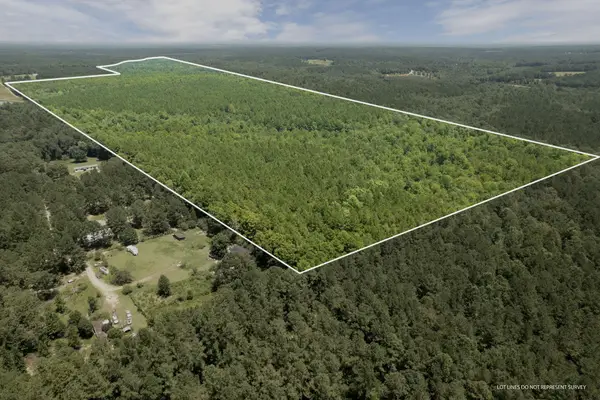 293 acres Scruggs Rd., Sumrall, MS 39482