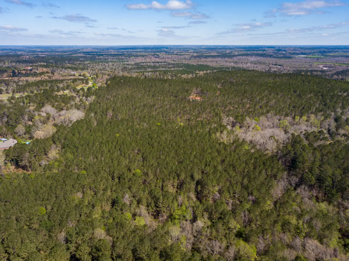 Lot 3 Timothy Rd., Ellisville, MS 39437 - #1