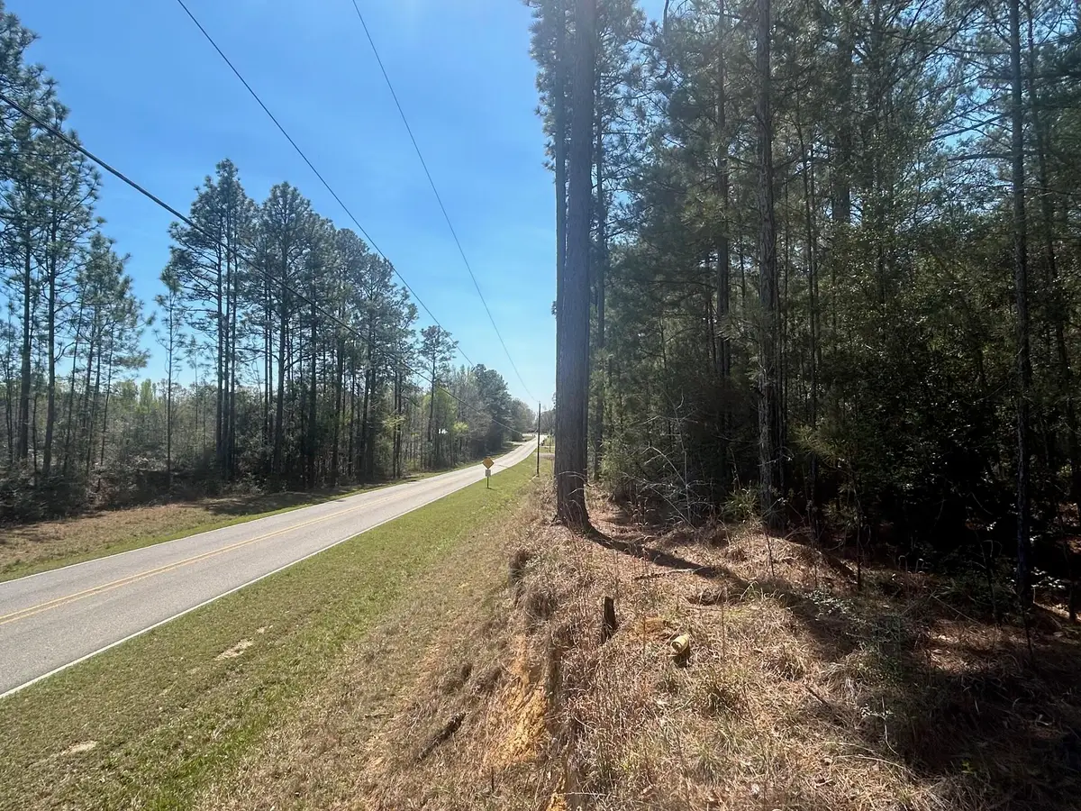 00 Old Highway 11, Lumberton, MS 39455 - #1