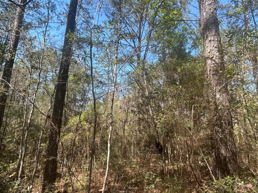 00 Old Highway 11, Lumberton, MS 39455 - #3