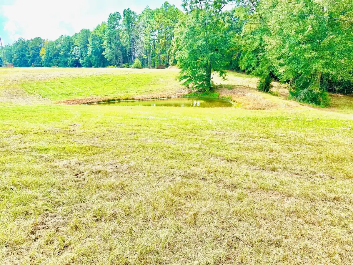 00 Beach Rd., Purvis, MS 39475 - #1