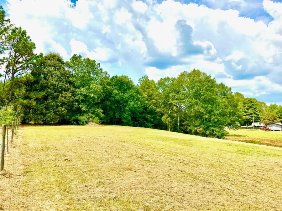 00 Beach Rd., Purvis, MS 39475 - #3