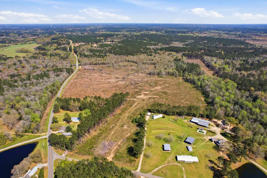 95.3 ac Rocky Branch, Sumrall, MS 39482 - #2