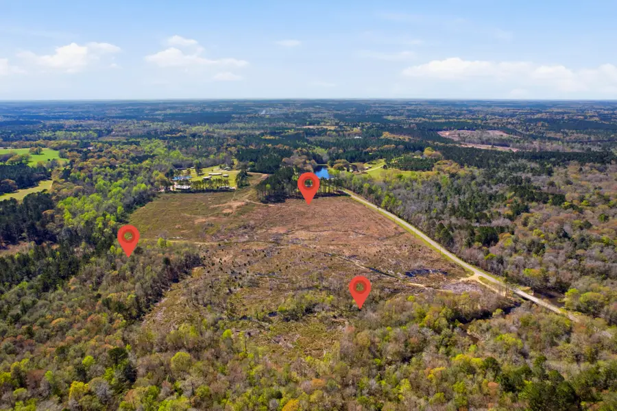 95.3 ac Rocky Branch, Sumrall, MS 39482 - #3