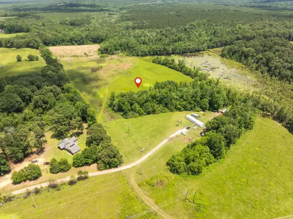 144 Acres J Barnes, Purvis, MS 39475