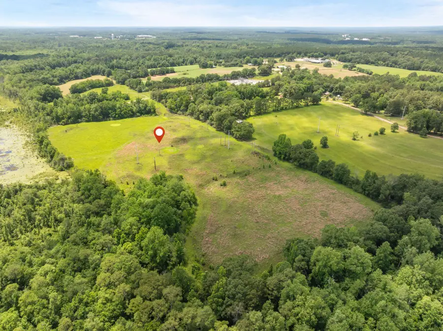 144 Acres J Barnes, Purvis, MS 39475 - #3